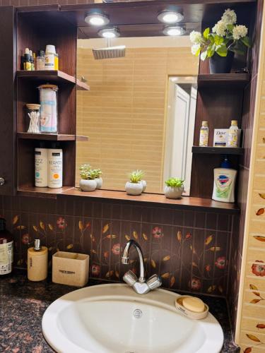 a bathroom with a sink and a mirror at Elisea apartment in Ruse