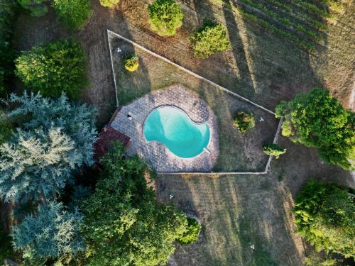 une vue sur un étang dans un champ arboré dans l'établissement CHATEAU LA LOGE, à Villematier