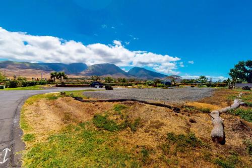 a stuffed animal on the side of a road at Puamana 30-2 in Lahaina