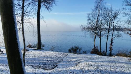 a view of a body of water with trees and snow at La Maison d'Architecte en pleine nature - le "Clos des Chevreuils" in Barbençon