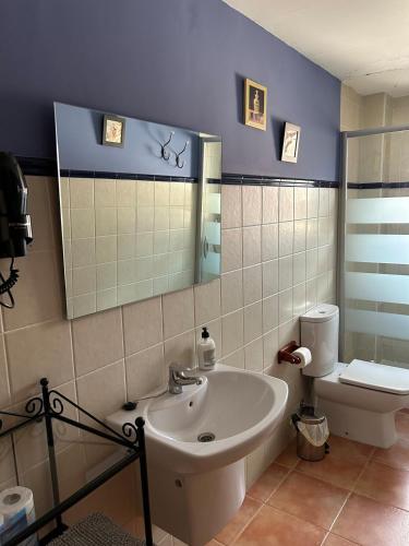 a bathroom with a sink and a toilet and a mirror at Casa Rural Barranco in Bielsa