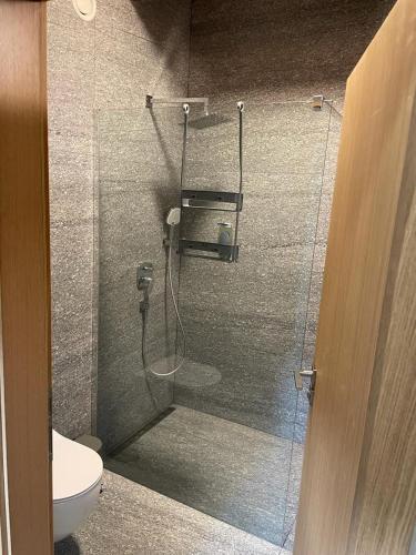 a glass shower in a bathroom with a toilet at Chatka za vodou in Trutnov