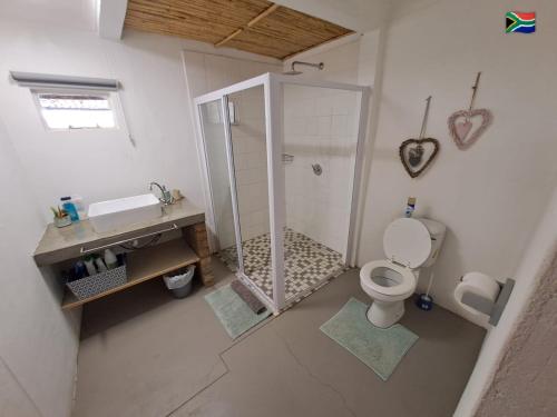 a bathroom with a shower and a toilet and a sink at Lentelus-Greeff Cottage in Oudtshoorn