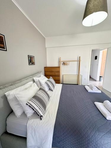 Luxury spacious apartment in the heart of the city