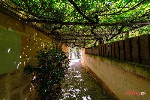 an alley with a tree hanging over a wall at Taz-Zuzu, The Gozo Retreat for Dreamers & Doers in Sannat