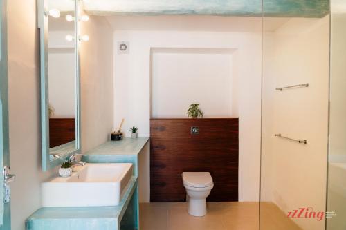a bathroom with a sink and a toilet and a mirror at Taz-Zuzu, The Gozo Retreat for Dreamers & Doers in Sannat