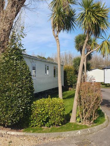 a green house between two palm trees and a street at 3 bed family static caravan in Selsey