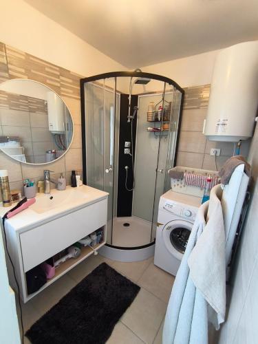 une salle de bain avec douche et machine à laver dans l'établissement Petite maison en bord de Marne, à Saint-Dizier