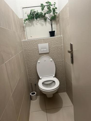 une salle de bain avec toilettes et une plante en pot dans l'établissement Moderne 3 Pièces proche métro et tram, à Villeurbanne