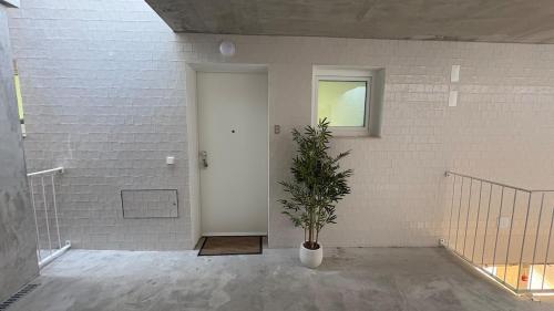 a white room with a potted plant next to a door at Escale à Trafaria in Trafaria