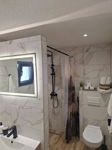 a bathroom with a shower and a toilet and a sink at Oaza mira 1 in Jajce
