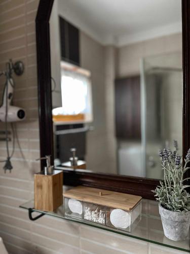 a bathroom counter with a mirror and a sink at Nefelejcs-el vendeghaz in Balatonmáriafürdő
