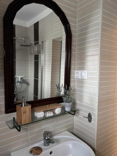 a bathroom with a sink and a mirror at Nefelejcs-el vendeghaz in Balatonmáriafürdő
