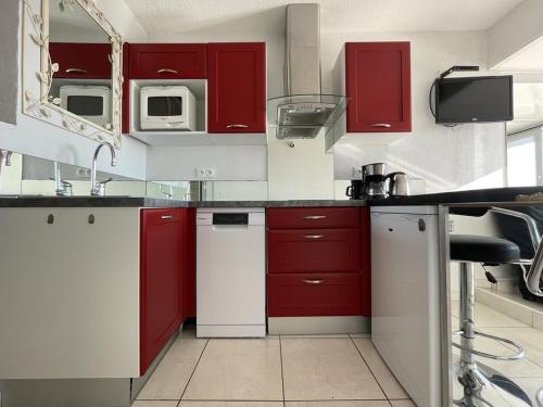 - une cuisine avec des placards rouges et un lave-vaisselle blanc dans l'établissement Studio Port Nature PN87- 2 personnes, au Cap d'Agde