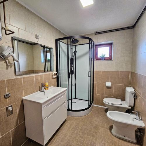a bathroom with a shower and a toilet and a sink at Apartment Topalovic Plitvice Private Pool in Korenica