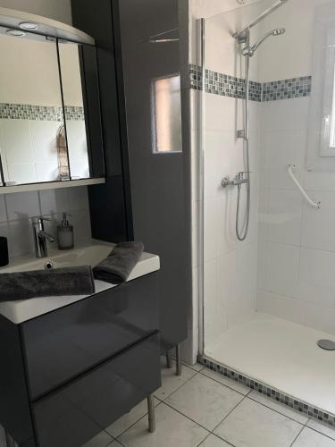 une salle de bain avec une douche, un lavabo et une baignoire dans l'établissement Appart rez de jardin 2 à 6 personnes, à Six-Fours-les-Plages