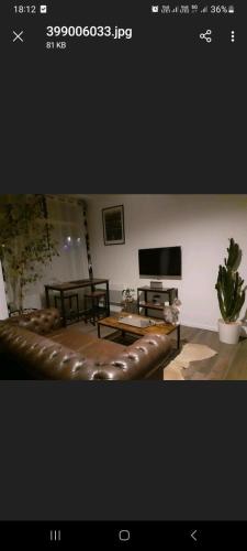 un salon avec un canapé en cuir et une télévision dans l'établissement Anna Home, à Dijon