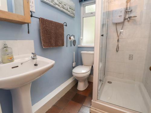 a bathroom with a toilet and a sink and a shower at Tryfan Cottage in Caernarfon