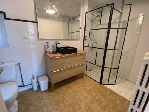 une salle de bain avec une douche, un lavabo et des toilettes dans l'établissement p'tite maison, à La Suze-sur-Sarthe