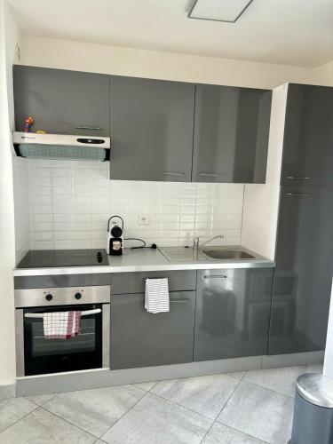 une cuisine avec des armoires grises et un évier dans l'établissement Une parenthèse sur l'eau, à Marseille