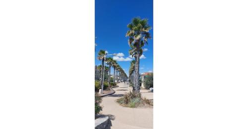une rue avec des palmiers et un ciel bleu dans l'établissement Appartement bord de mer, à Le Castellas