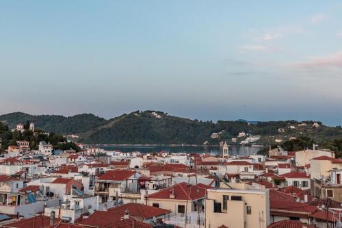 a view of a city with houses and a mountain at NéRo in Skiathos Town