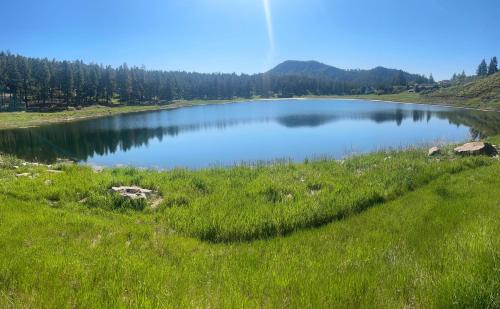 a lake in the middle of a grassy field at 984 Pine Valley Forest Lakes in Vallecito