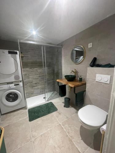 een kleine badkamer met toilet en douche bij Maison cosy avec jardin & parking, proche Disney in Chelles