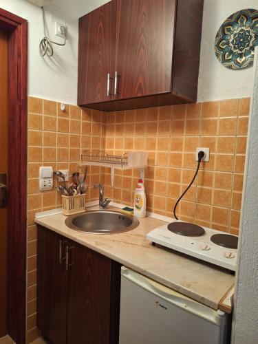 Kuhinja ili čajna kuhinja u objektu Apartments Kuc
