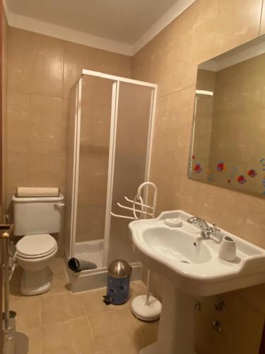 a bathroom with a toilet and a sink and a shower at Casa Sequeira de São José - Gerês in Terras de Bouro