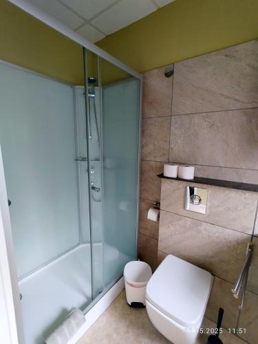 a bathroom with a glass shower and a toilet at Apartment Mariposa Azul in Icod de los Vinos