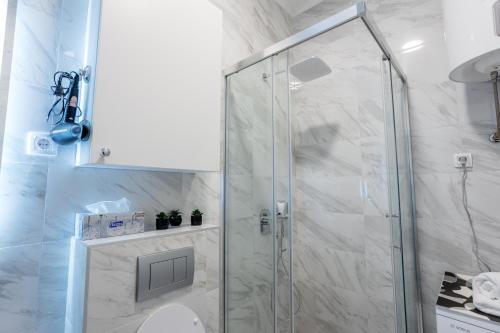 a bathroom with a shower stall and a toilet at MANIROSI 19 PALIC - Apartment in Palić