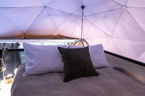 1 cama en una tienda con 2 almohadas en The Canyon at Pond Creek, en Pikeville