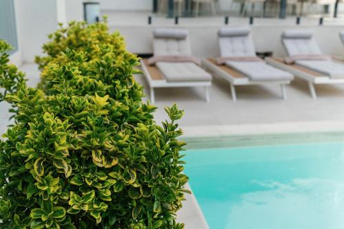 Bazén v ubytování ARIS Boutique Hotel & SPA nebo v jeho okolí