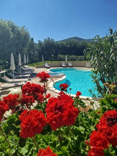 Bazén v ubytování Agriturismo La Luciana nebo v jeho okolí