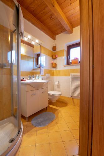 a bathroom with a toilet and a sink and a shower at Agriturismo Spigolo in Avesa