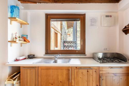 a kitchen with a sink and a window at Champex Apartments in Pré-Saint-Didier