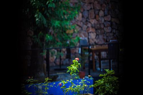 a view of a garden with a bench and flowers at 张家界天门山伴田居民宿 in Zhangjiajie
