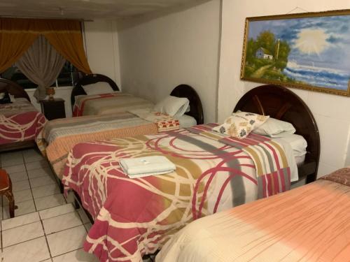 Postel nebo postele na pokoji v ubytování Hostal Almagro
