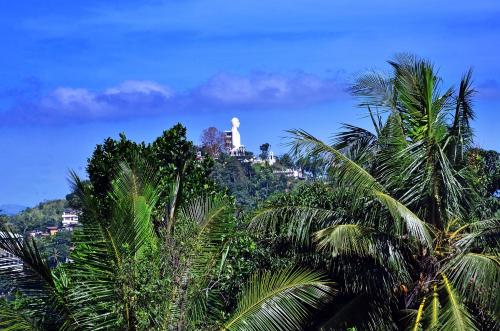 a building on top of a hill with palm trees at Kandyan White Holiday Homes in Kandy