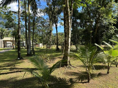 a group of palm trees in a park at Vila do Porto Pousada in Morretes