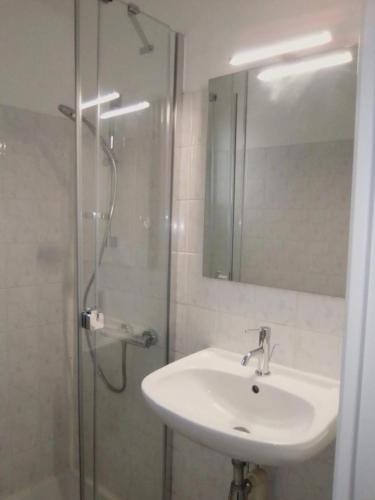 une salle de bain avec un lavabo et une douche avec un miroir dans l'établissement Appartement moderne à Rodez de 46 m² avec balcon, à Rodez