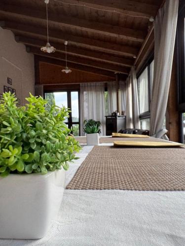 Rõdu või terrass majutusasutuses Zest House