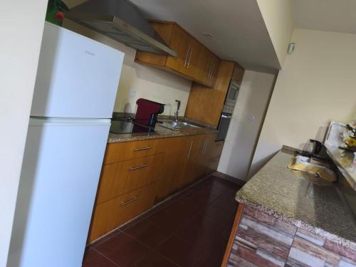 a kitchen with wooden cabinets and a refrigerator at Casa da Tia Bina in Castelo de Paiva