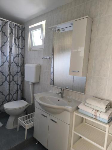 un bagno con lavandino, WC e specchio di Haus Sabina a Palit