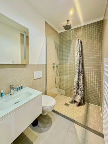 une salle de bain avec toilettes, douche et lavabo dans l'établissement Vieux Nice - Wifi, AC, 6pers, à La Celle-sous-Gouzon