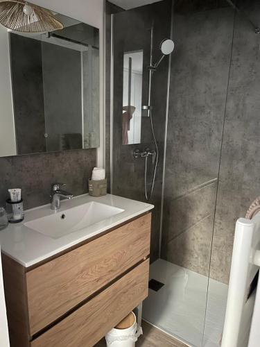une salle de bain avec un lavabo et une douche dans l'établissement 2 appartement RDC avec extérieur, à Millau