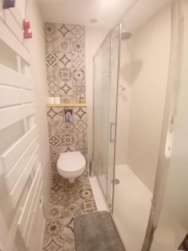 La salle de bains est pourvue de toilettes et d'une douche à l'italienne. dans l'établissement Appartement centre-ville, à Bayonne