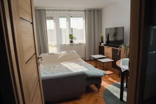 TV/trung tâm giải trí tại Zielona Przystań