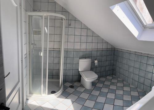 e bagno con servizi igienici e cabina doccia. di Apartamentos Redondo a Suances